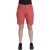Sanda Shorts Dam Hibiscus